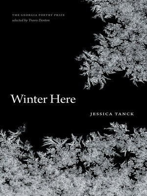 cover image of Winter Here